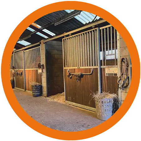 Dagbesteding Fasehuizen de Schakelwebp