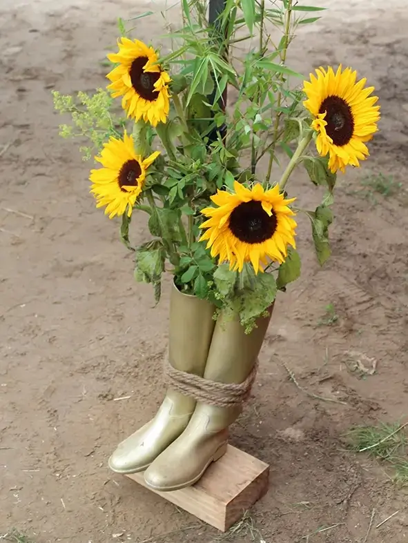 Collage balk dagbesteding3